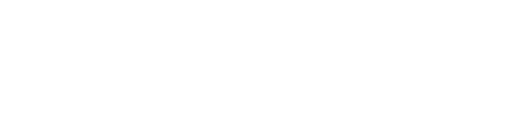 Envision Landscape Studio